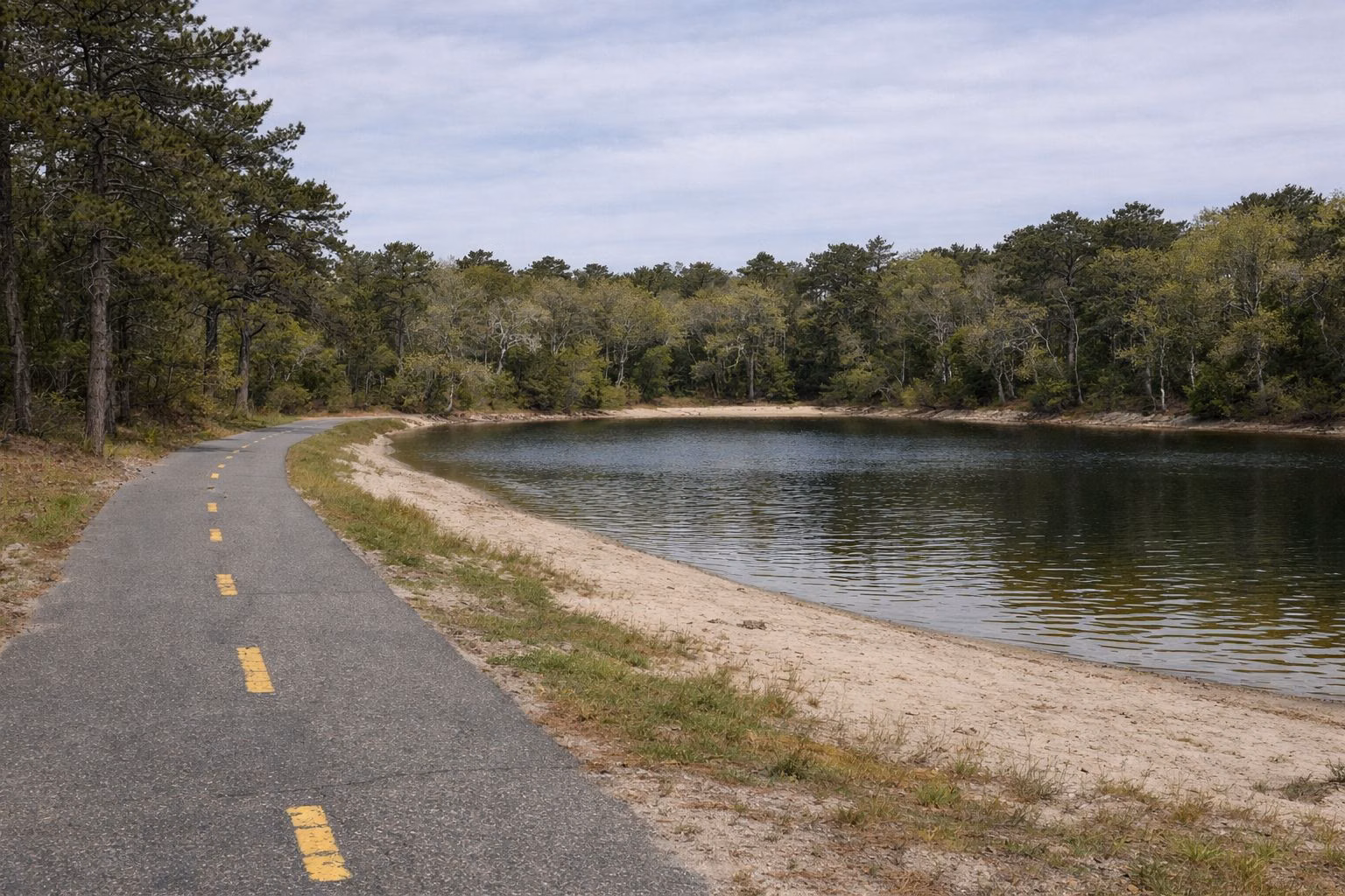 A paved bike path with a faded center line passing a small pond in the woods
